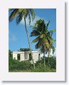 09-Barbados - 015